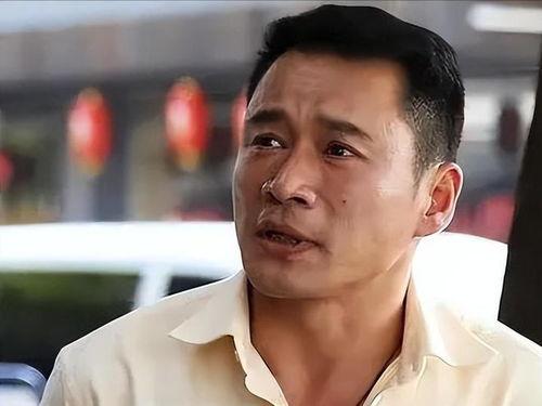 丁海峰视频,揭秘演艺圈幕后故事