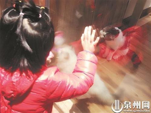 撸一撸免费观看,尽享视听盛宴