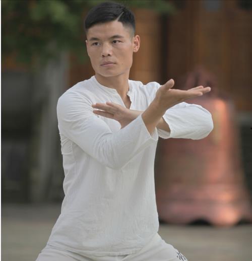 明星 陈龙 散打 太极,散打与太极的完美融合，武术之魂的传承者