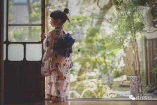 日本偷妻BD,揭秘跨国婚姻的悲剧与挑战