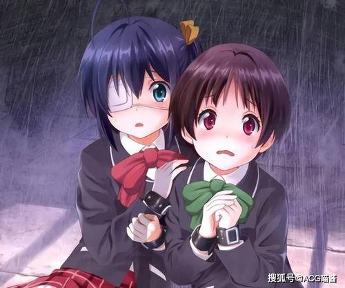 日本动画相太,日本动画中的治愈系萌宠传奇