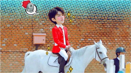 白马王子在线播放