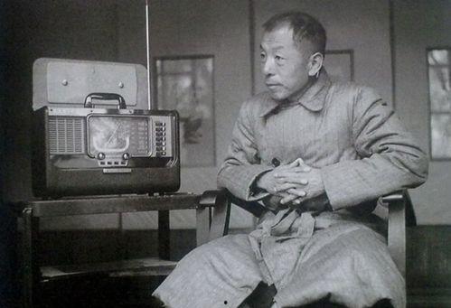 刘劲版张学良在线播放,重温历史风云，再现英雄风采