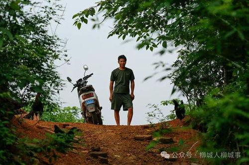 凤山在线播放,带你领略凤山风情，尽享视听盛宴